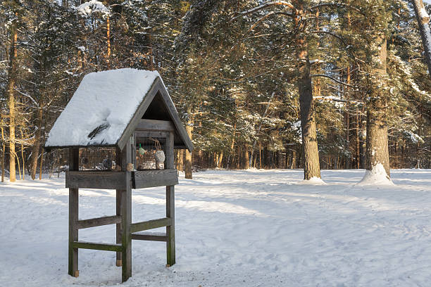 Winter mood