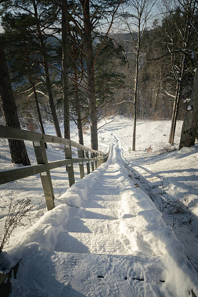 Morning in a snow covered park.