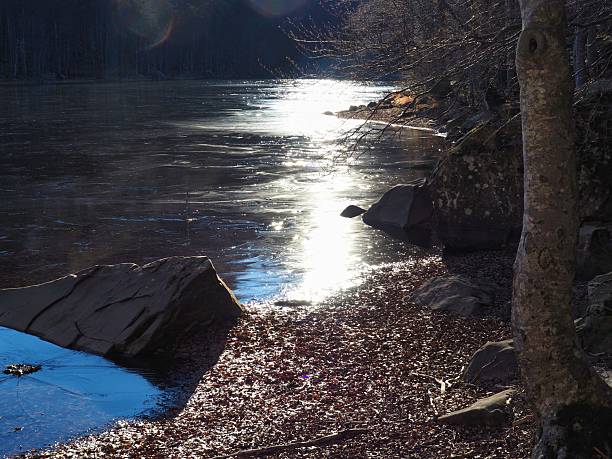 A low-angle winter shot of a frozen mountain lake shore (Lagoni), with bright sunlight reflecting on the ice and rocks, framed by a beech tree trunk and fallen leaves.