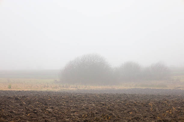 ​A freshly plowed agricultural field with clumps of dark earth dissolves into a thick blanket of white morning mist.