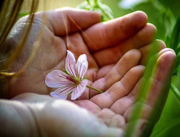 A small pink flower with purple veins gently held in cupped hands, surrounded by soft green foliage. The image conveys themes of care, protection, sustainability, and connection with nature.