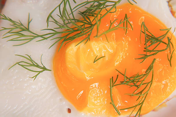 A single fried egg topped with bright yolk and fresh dill rests on a plate.