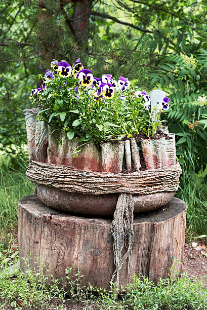 Purple pansy flower in a creative rustic planter, made from concrete and decorated with rope. Outdoor garden decoration