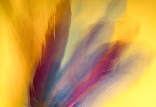 Abstract feather texture with intertwined vibrant colors captured using long exposure. A dynamic composition with soft transitions, ideal for modern art projects and creative backgrounds.