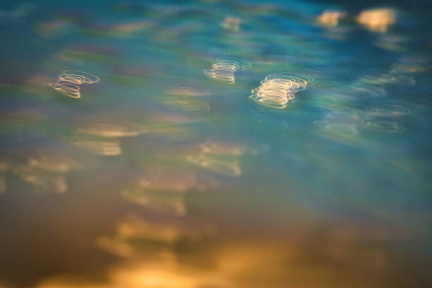 Abstract texture featuring golden light spirals on turquoise water, captured via long exposure. Peaceful, dreamy, and fluid visual. High-quality natural shot ideal for spa, wellness, meditation, and modern decoration projects.