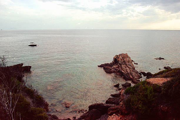 Calm ocean water meeting a rugged coast with lush vegetation under a cloudy sky, showcasing a tranquil marine scene. Scanned from analog film