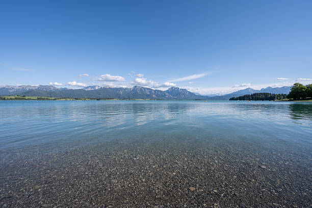 Forggensee lake showing clear water and mountains under a blue sky