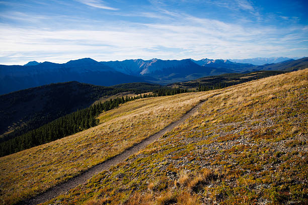 A sunset view of a mountain bike and hiking trail in the Rocky Mountains of Alberta, Canada.