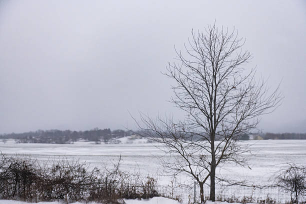 Fresh Snow in Two Lights State Park with Islands in the Distance in Cape Elizabeth, Maine, United States
