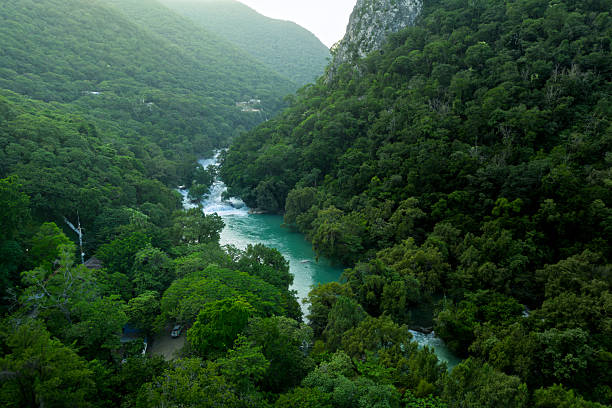 Cascada de Micos features several waterfalls surrounded by tropical vegetation. Located in Huasteca Potosina, San Luis Potosi, it offers beautiful views of nature and water.