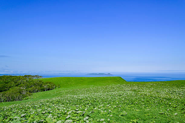 Cape Shirepa in Eastern Hokkaido