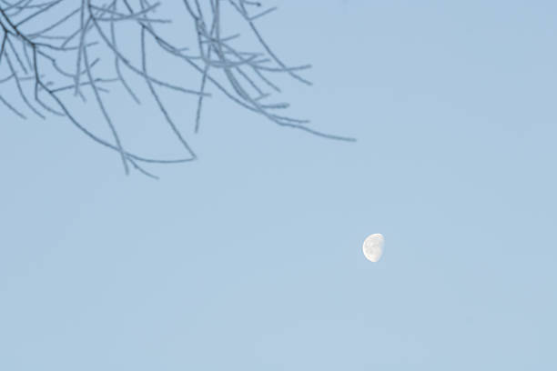 Beautiful blue sky with clouds and half moon at sunset.