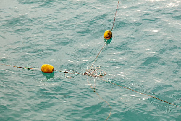 Two yellow buoys are floating in the water. The buoys are connected by a rope. The rope is attached to a buoy on the left and another buoy on the right