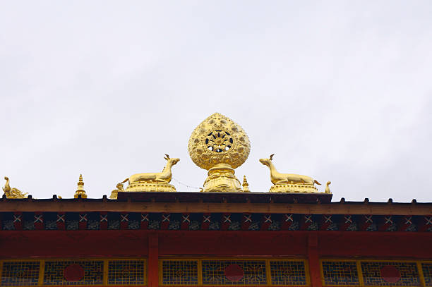 Ganden Sumtseling Monastery, also known as Songzanlin Monastery, is the largest Tibetan Buddhist monastery in Yunnan Province. Built in 1679, it is renowned as the \