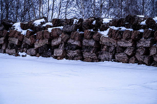 Stacks of peat blocks, partially covered with snow, in a winter setting, hiking through the snow-covered moor between Aschen, Diepholz and Lohne, Lower Saxony, Germany