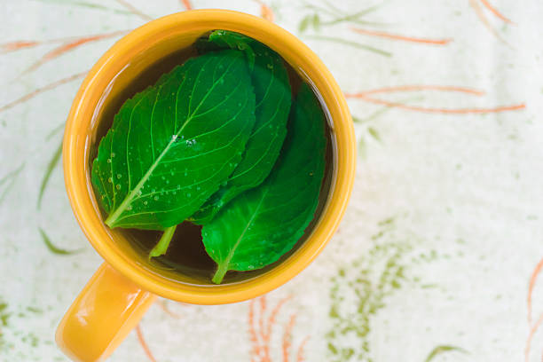 Mint flavored tea, view from above, space for a text. Organic green Tea ceremony time concept. Aromatic natural mint tea. Green mint leaves in a yellow ceramic cup
