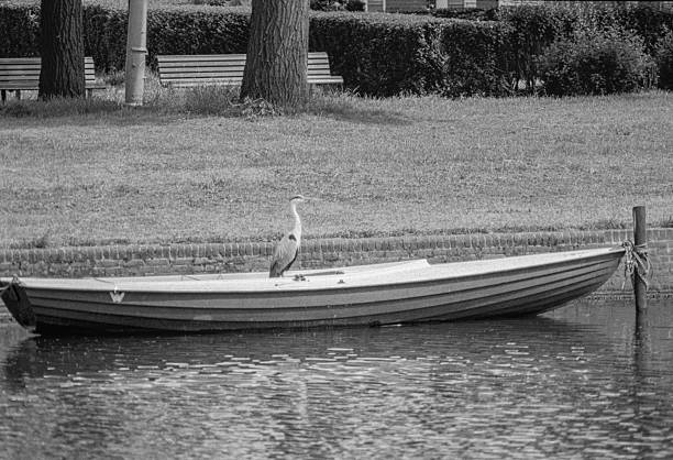 Old boat