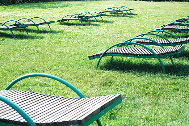 Outdoor lounge chairs positioned on vibrant green grass, illuminated by sunlight, providing a tranquil environment for relaxation and leisure activities