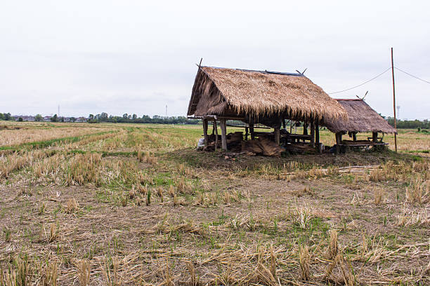 old Thai cottage in field