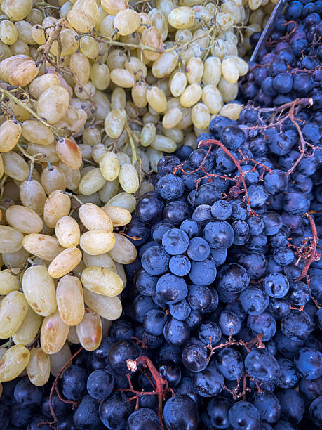 Fresh Green and Black Grapes Display