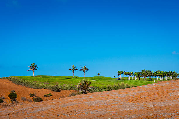View of the seaside landscape. Pico de Bandama and Caldera on Gran Canaria in Spain