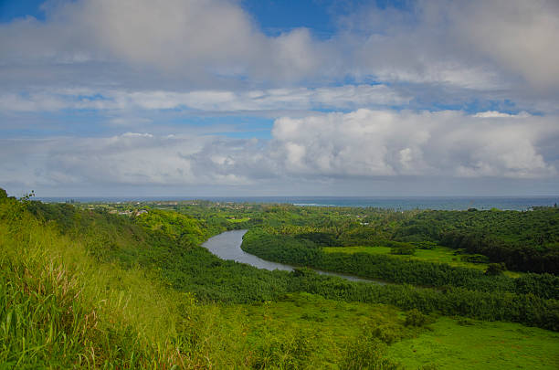Viewpoint of the Wailua River with lush greenery in Kauai, HI