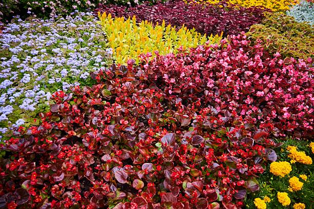 Mainau Island, famous for its parks and gardens. Lake Constance, Germany