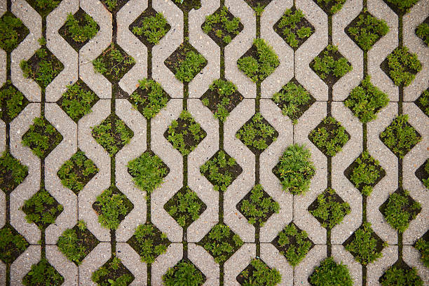Geometric granite tiles for a path with plants