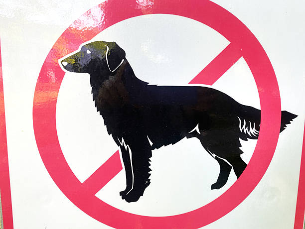 Black dog silhouette within a red no symbol on a white sign, clearly indicating restrictions against dogs in the designated area