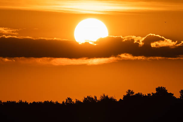 Stunning golden sunset over a dark forest silhouette with a bright sun disk peaking through clouds in Estonian nature landscape.Close up photo