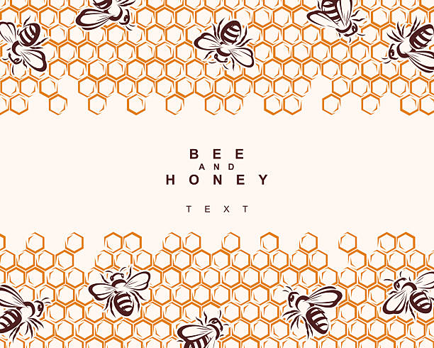 Bee and honey background, pattern set. Collection icon bee and honey. Vector illustration