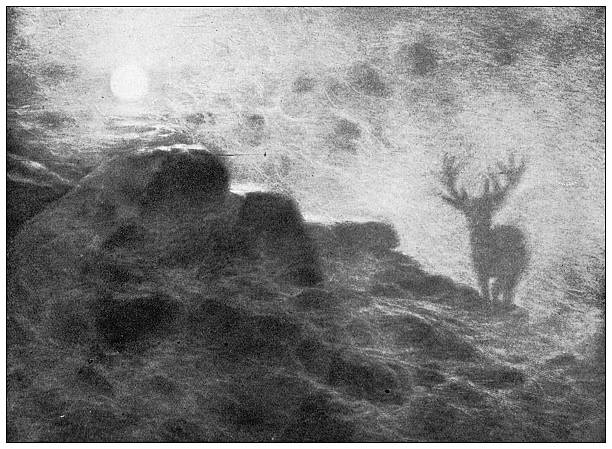 Image from 19th Century Art Illustrated Magazine: An Early Riser, by Sir F Seymour Haden