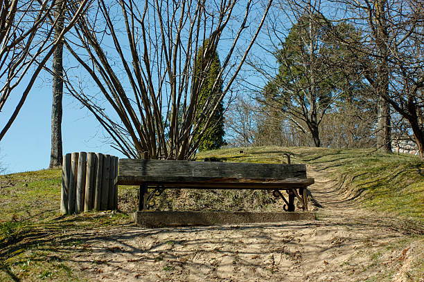 Rustic Wooden Bench on a Grassy Hill