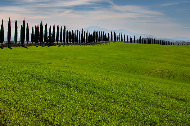 Val d'Orcia, Tuscany, Italy: