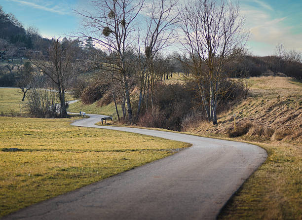 a road through the nature in spring