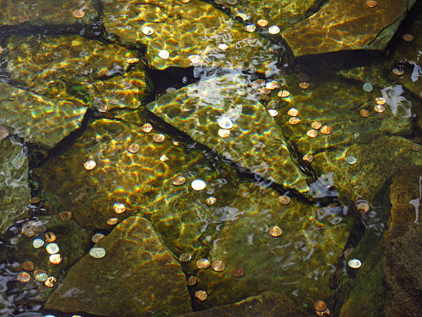 money coin wishing well