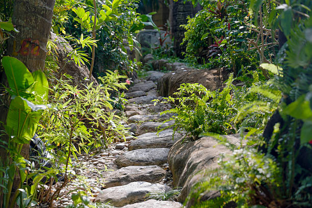 A small bridge stretching over a water drain in a yard.
