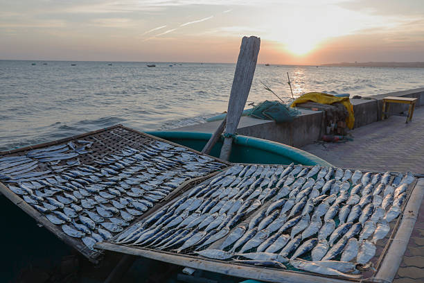 Scenic view of coastline and sea at sunset, Mui Ne