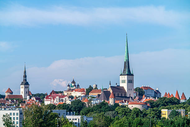 Wide summer panorama of Tallinn Old Town with lush greenery and iconic medieval towers.