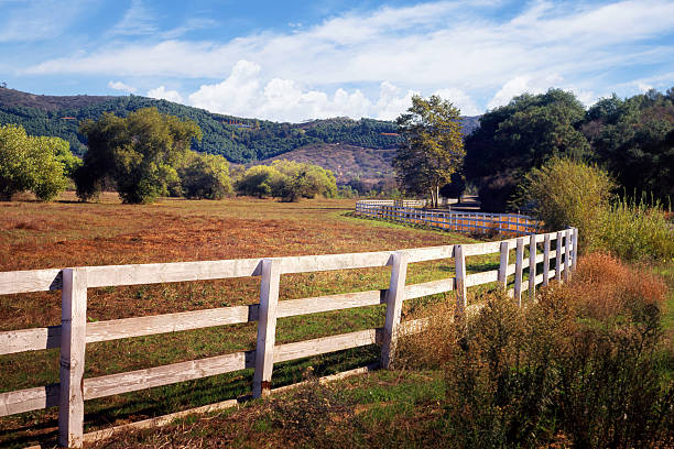 A winding white fence in the Vista/Fallbrook area of San Diego's north county.  Avocado groves line the hillside in the distance.
