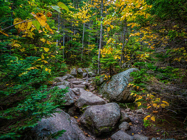 Chimney Pond trail hike at Baxter State Park, Maine, with peak fall foliage on an overcast cloudy day.  Amazing landscape in remote wilderness.