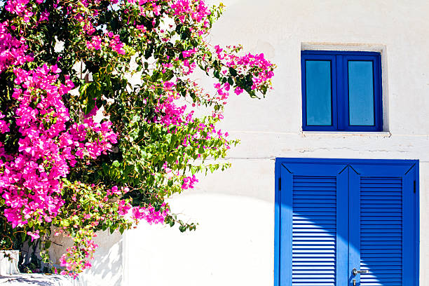 istock Blue door and bougainvillea in Oia 2260306321