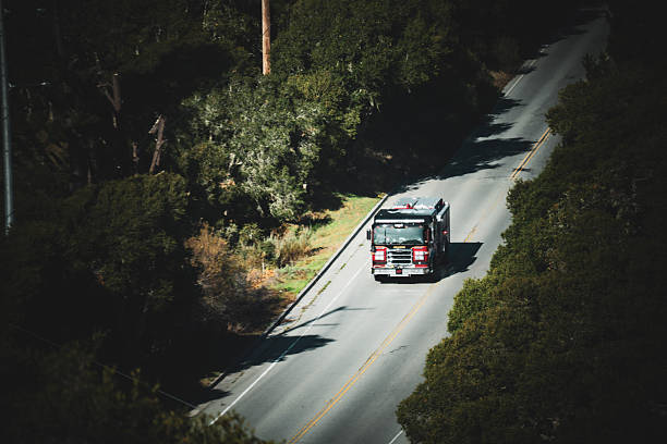 A red fire engine travels along a paved road surrounded by lush green trees and foliage, casting shadows on the asphalt