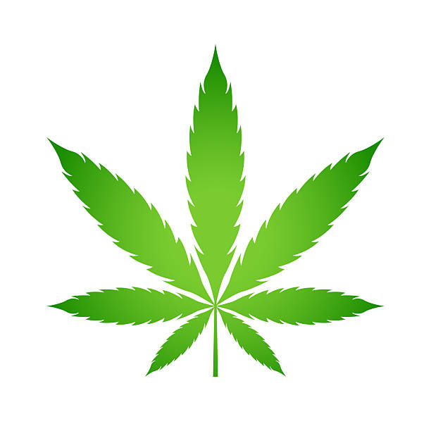 油絵 麻 大麻 マリファナ バッヅ  marijuana 値下げ 油絵 麻 大麻 マリファナ バッヅ marijuana 値下げ 大麻 マリファナ