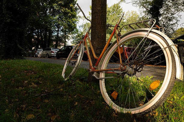 Free picture: Old, abandoned, rusty bicycle overgrown into a tree and ...