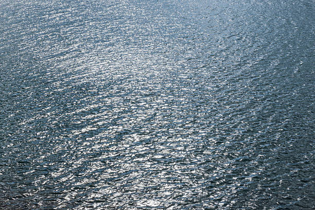 This photo was taken on a sunny winter day of the lake.