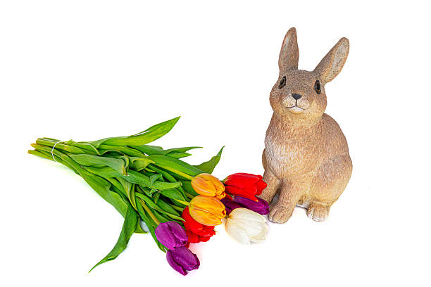 Easter bunny surrounded by multi-coloured tulips on a white background with lots of copy space.