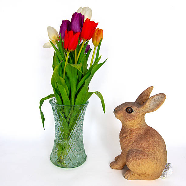 Easter bunny looking at multi-coloured tulips in a crystal glass vase on a white background.