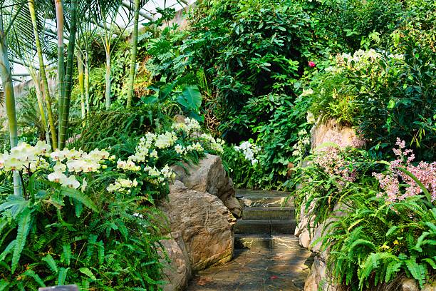 The orchid show in Nanjing Botanical Garden