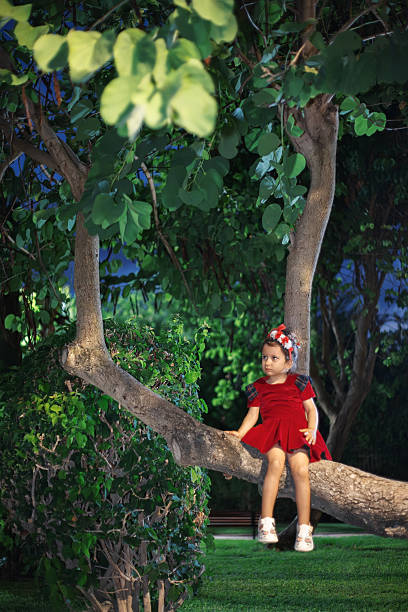 Little girl in a red dress sitting on a tree branch in a park at night